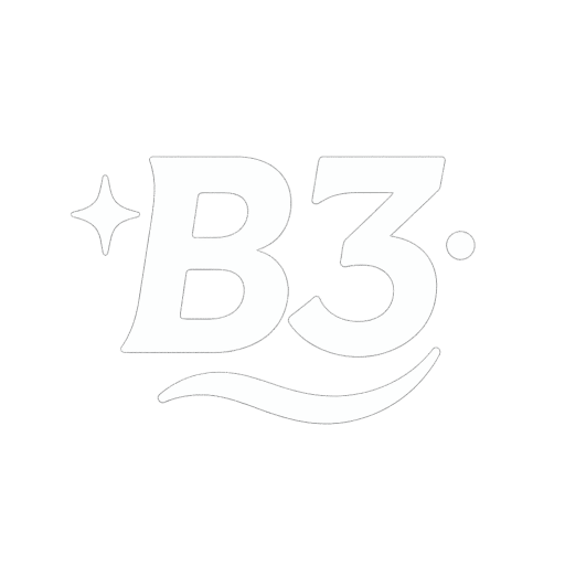 B3 Logo